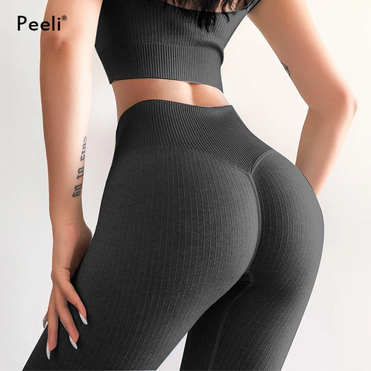 Ribbed Seamless Leggings Sports