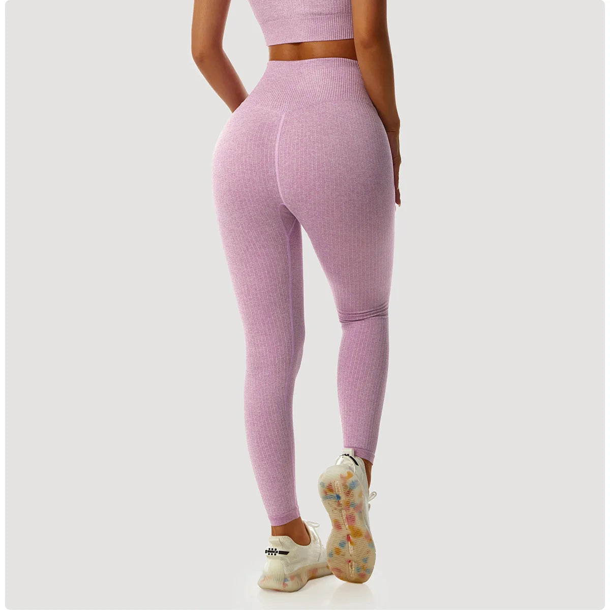 Ribbed Seamless Leggings Sports